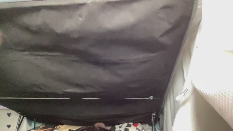 VIRGINIECAPRICE's Streamate show and profile